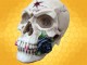 Crâne Vampire et Rose Noire Crânes Squelette Gothique Alchemy Gothic