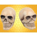 Salière et Poivrière Crâne Squelette Sel Poivre Lot 2 Crânes Gothiques pour Cuisine Fantasy