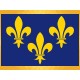 Drapeau Ile de France Fleurs de Lys Jaunes Fond Bleu Drapeaux Régionaux