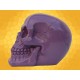 Crâne Violet Brillant Squelette Humain Décoration Gothique