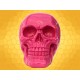 Crâne Rose Brillant Squelette Humain Décoration Gothique