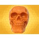 Crâne Orange Brillant Squelette Humain Décoration Gothique