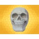 Crâne Blanc Nacré Squelette Humain Décoration Gothique