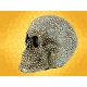 Crâne Lumineux Chromé Squelette Gardien des Bijoux
