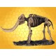 Squelette Mammouth Figurine Fossile Éléphant Préhistorique