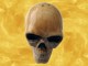 Salière et Poivrière Crâne Squelette Sel Poivre Lot 2 Crânes Gothiques pour Cuisine Fantasy